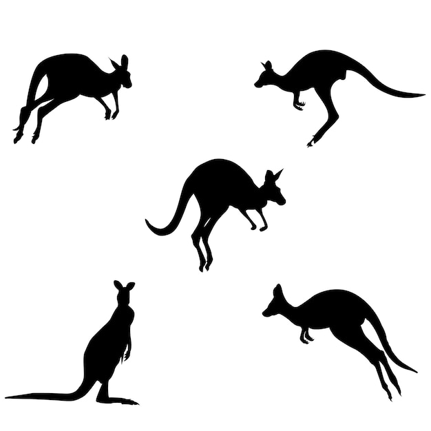 vector kangaroo icons collection