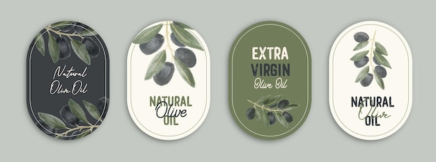 Vector labels with watercolor olive branch Emblem composition w