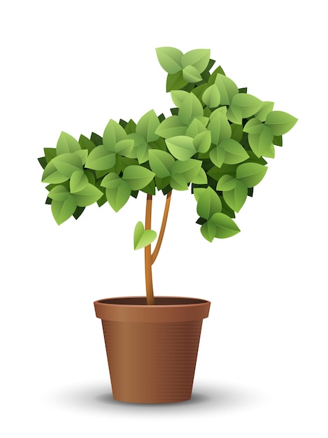 Vector large green tree grows from a flowerpot concept of spring and summer