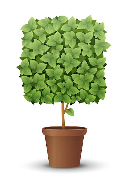 Vector large green tree grows from a flowerpot concept of spring and summer