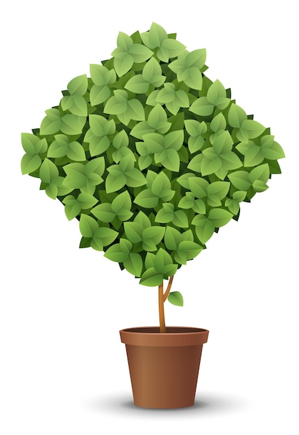 Vector large green tree grows from a flowerpot concept of spring and summer