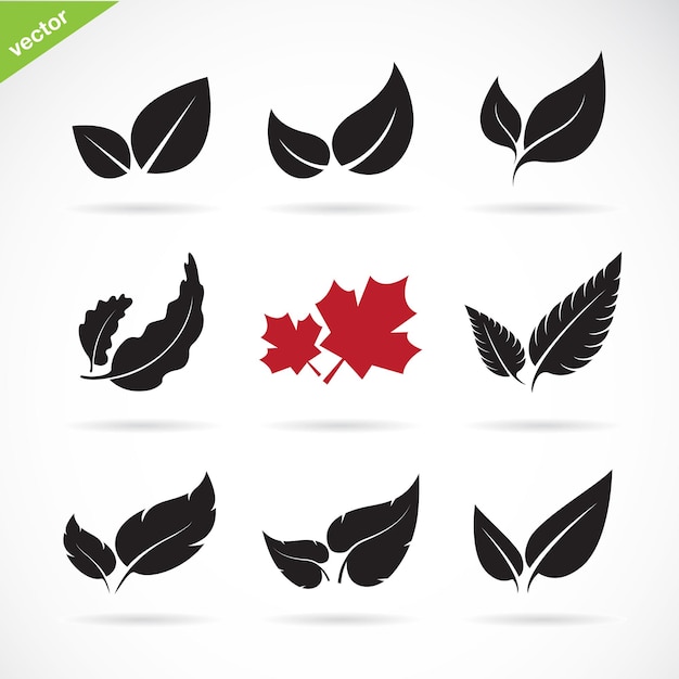 Vector of a leaves icon set on white background