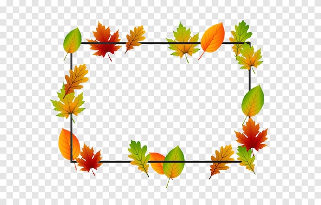 Vector leaves on an isolated transparent background. Autumn, frame with leaves PNG. Leaves png.