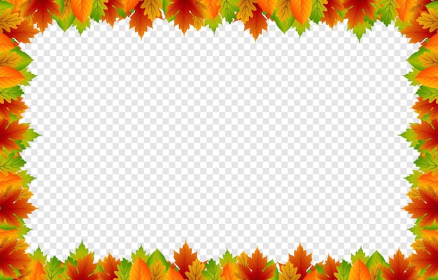 Vector leaves on an isolated transparent background Autumn leaves fall from the trees