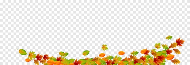 Vector leaves on isolated transparent background The wind blows off the leaves the wind blows