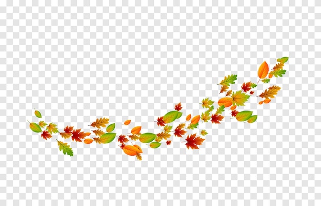 Vector leaves on isolated transparent background The wind blows off the leaves the wind blows