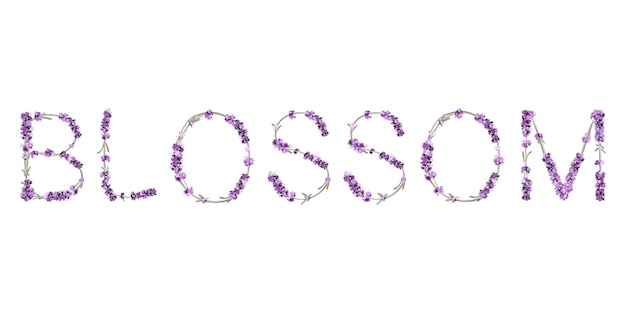 Vector lettering Blossom from letters in the form of lavender