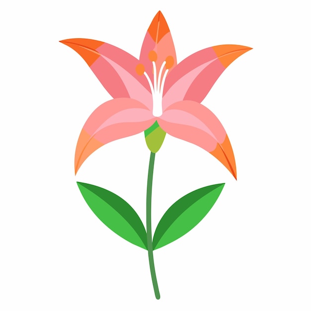 Vector a lily with green leaves with flat illustration style