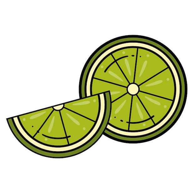 Vector lime slice green lemon illustration isolated half of a fruit lime. Fresh green citrus icon.