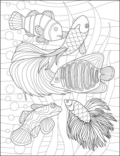 Vector line drawing five fishes detailed patterns swimming water tank digital lineart image