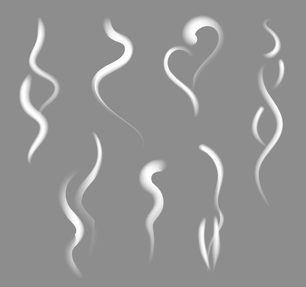 Vector vector line smoke condensation smoke isolated on gray background