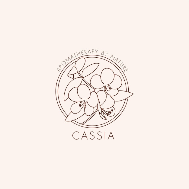 Vector linear botanical icon and symbol  cassia design logo for essential oil cassia natural cosmeti...