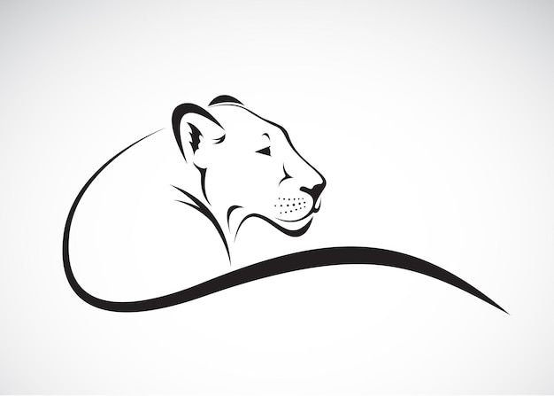 Vector of a lion female design on white background Wild Animals