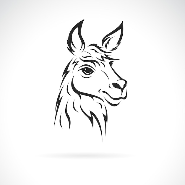 Vector of a llama head design on white background Easy editable layered vector illustration Wild Animals