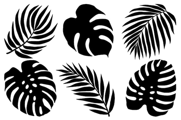 Vector llustration of black silhouettes of tropical leaves monstera and palm plants