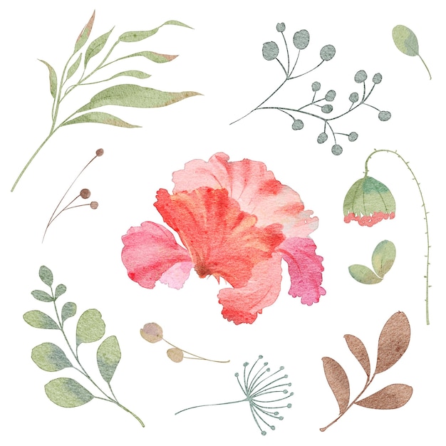 Vector lovely watercolor flower with leaves collection