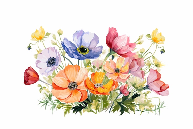 Vector lovely watercolor flowers with white background