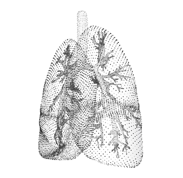 vector lungs and bronchi vector design point and dot style