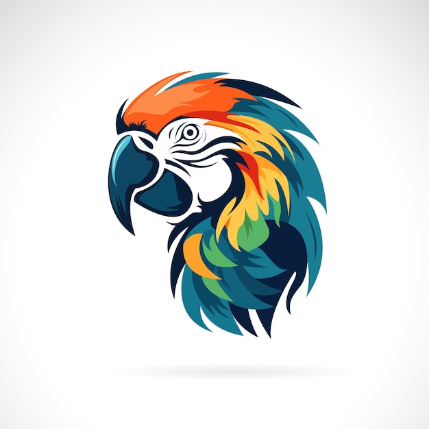 Vector of a macaw bird head design on black background Wild Animals