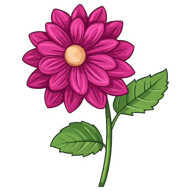 Vector vector magenta dahlia flower clipart with green leaves on the stem