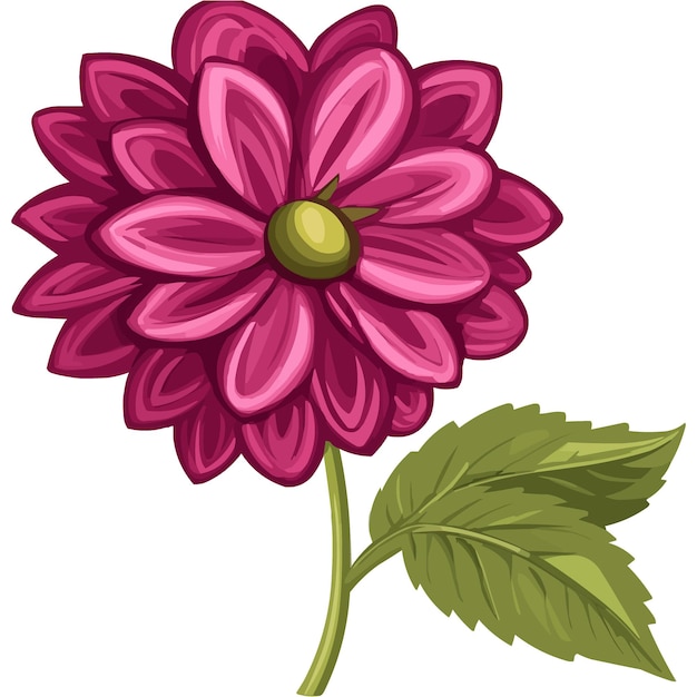 vector magenta dahlia flower clipart with green leaves on the stem