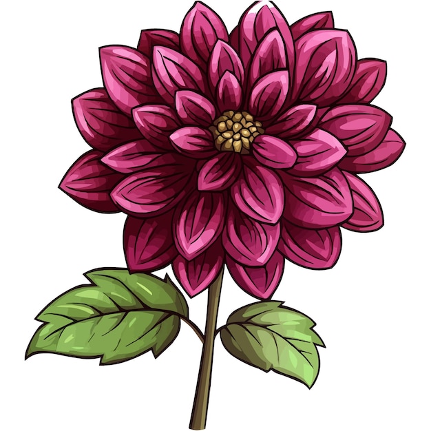 Vector vector magenta dahlia flower clipart with green leaves on the stem