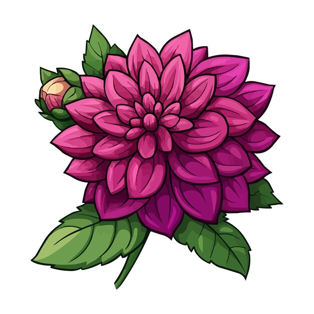 Vector vector magenta dahlia flower clipart with green leaves on the stem