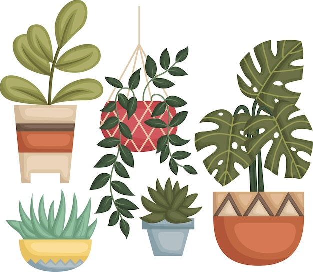 a vector of many type of plant in pots