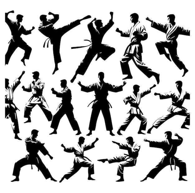 Vector martial art or karate silhouettes vector illustration