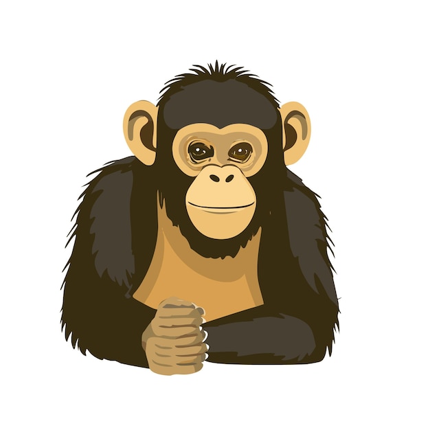 Vector Monkey