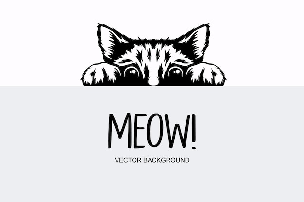 Vector Monochrome Hand Drawm Black White Hiding Peeking Kitten Kitten Head with Paws Up Peeking Over Blank White Placard Poster Card Banner Pet Kitten Curiously Peeking Behind White Background