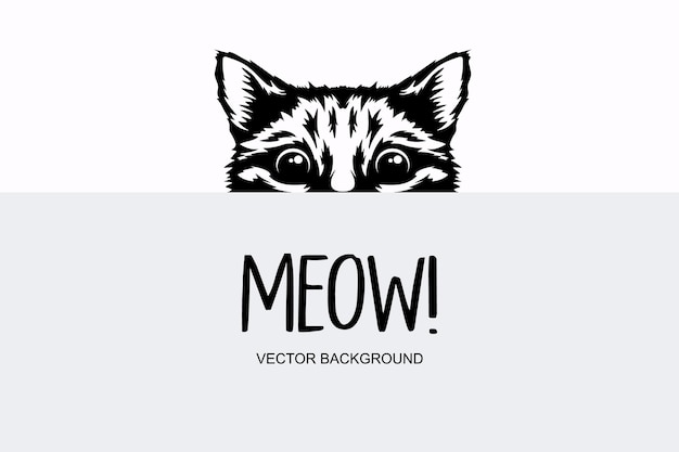 Vector Monochrome Hand Drawn Black White Hiding Peeking Kitten Kitten Head Peeking Over Blank White Placard Poster Card Banner Pet Kitten Curiously Peeking Behind White Background