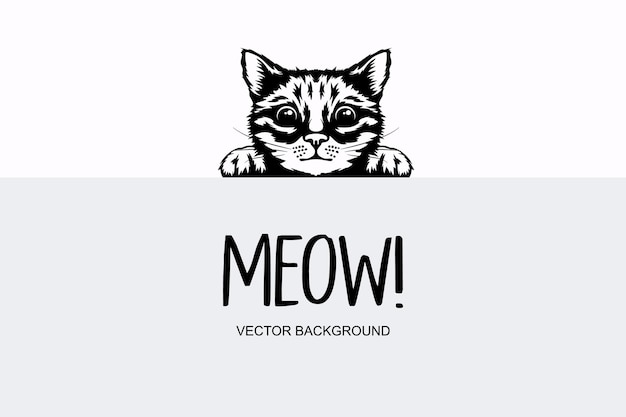 Vector Monochrome Hand Drawn Black White Hiding Peeking Kitten Kitten Head with Paws Up Peeking Over Blank White Placard Poster Card Banner Pet Kitten Curiously Peeking Behind White Background