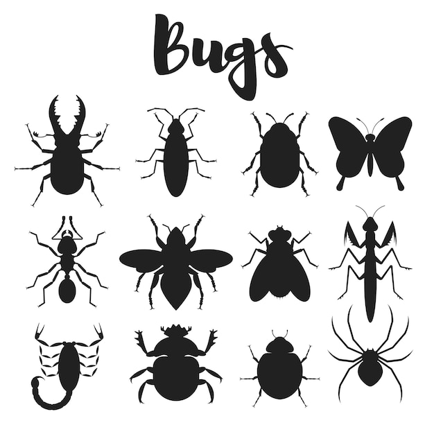 Vector monochrome set of various bugs. Icon for web. Silhouettes isolated on white background