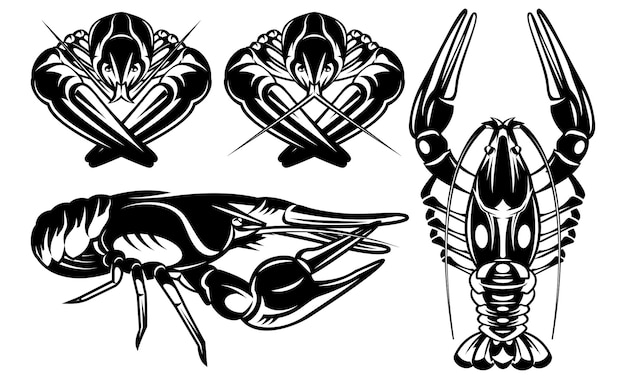 Vector Monochrome Set with Various River Crayfish