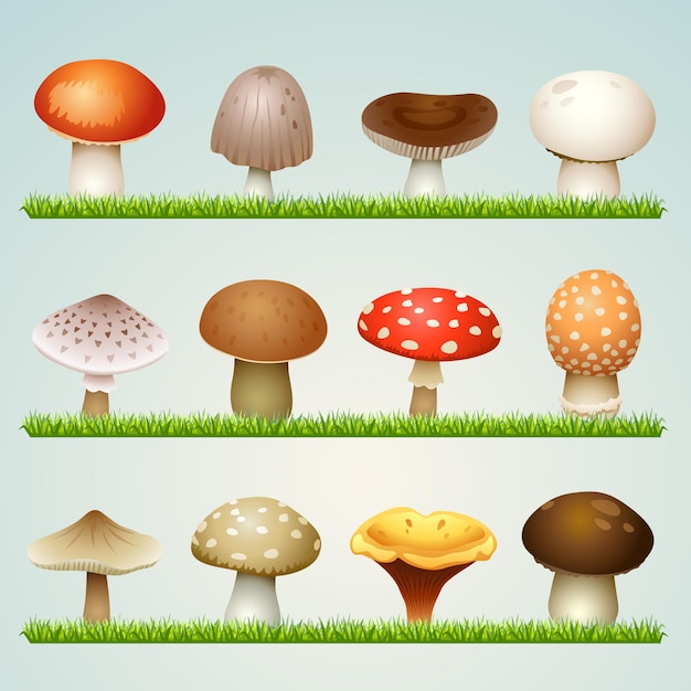 vector mushrooms icon set on grass