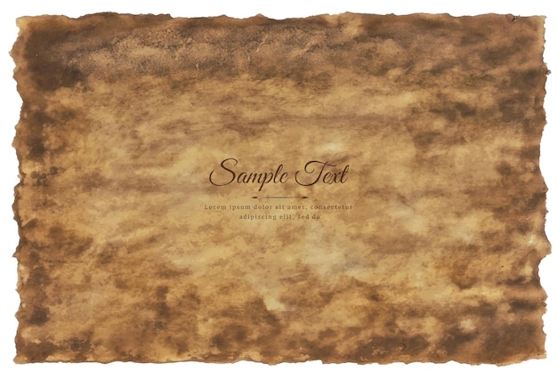 Vector old parchment paper sheet vintage aged or texture isolated on white background