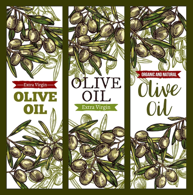 Vector olive oil extra vrigin sketch banners