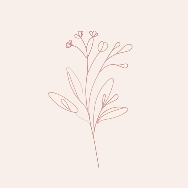 Vector vector one line art of a flower