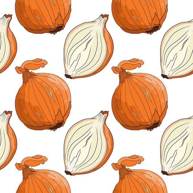 Vector onions seamless pattern on a white background. Spice. Whole vegetable.