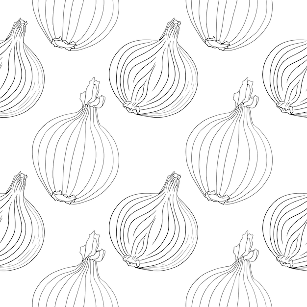 Vector onions seamless pattern on a white background. Spice. Whole vegetable.