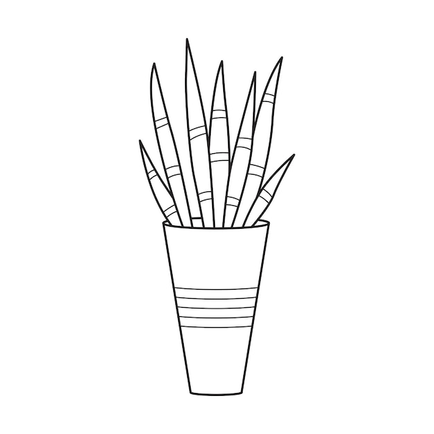 Vector outline house plant with long leaves Indoor succulent plant in pot Home plant for home and interior Botanical doodle linear black and white illustration isolated on white background