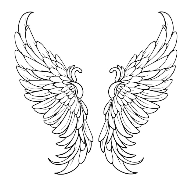 Vector outline of majestic wings icon