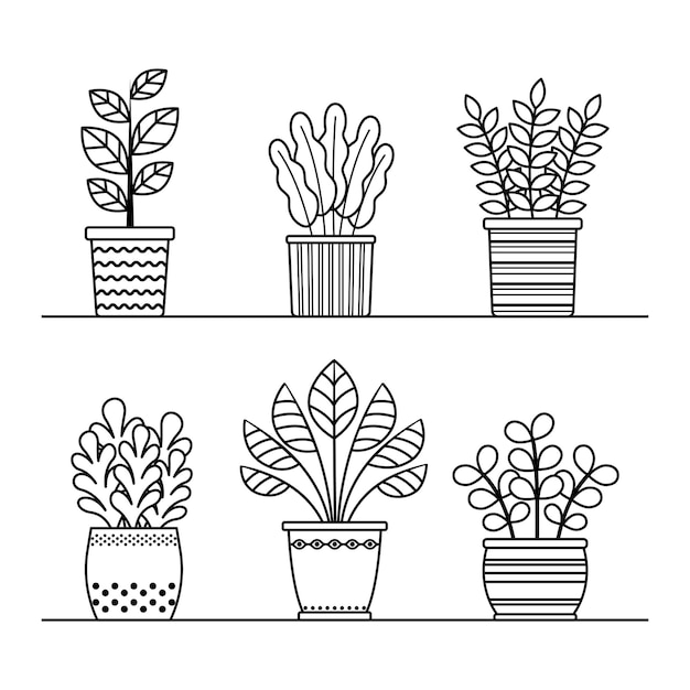 Vector outline plants in pots collection Isolated linear potted home flowers set for coloring