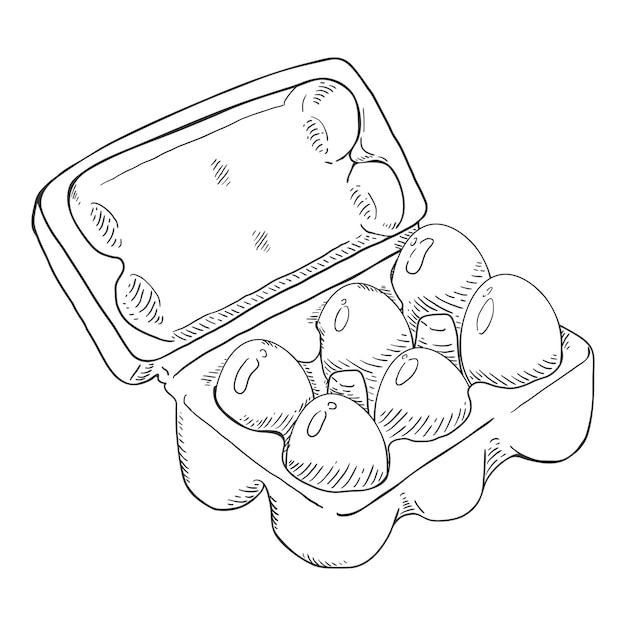 Vector Package of Six Chicken Eggs