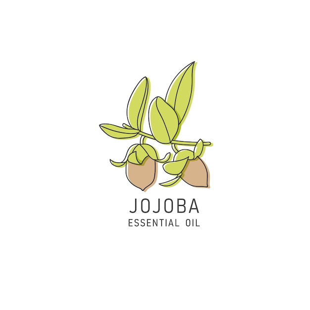 Vector vector packaging design element and icon in linear style jojoba oil healthy vegan food logo sign