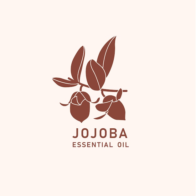 Vector packaging design element and icon in linear style jojoba oil healthy vegan food Logo sign