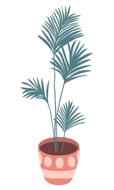 Vector vector palm illustration in pot cute pot with ornaments in boho style house plant home garden