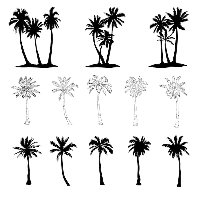 Vector palm tree silhouette set