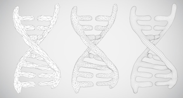 Vector part of the human dna 3d triangular abstract style in black and white